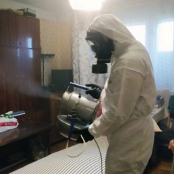 Дезинфекция от клопов в Верхнеуральске