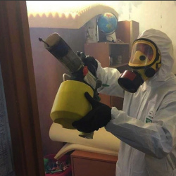 Уничтожение клопов в квартире. Верхнеуральск